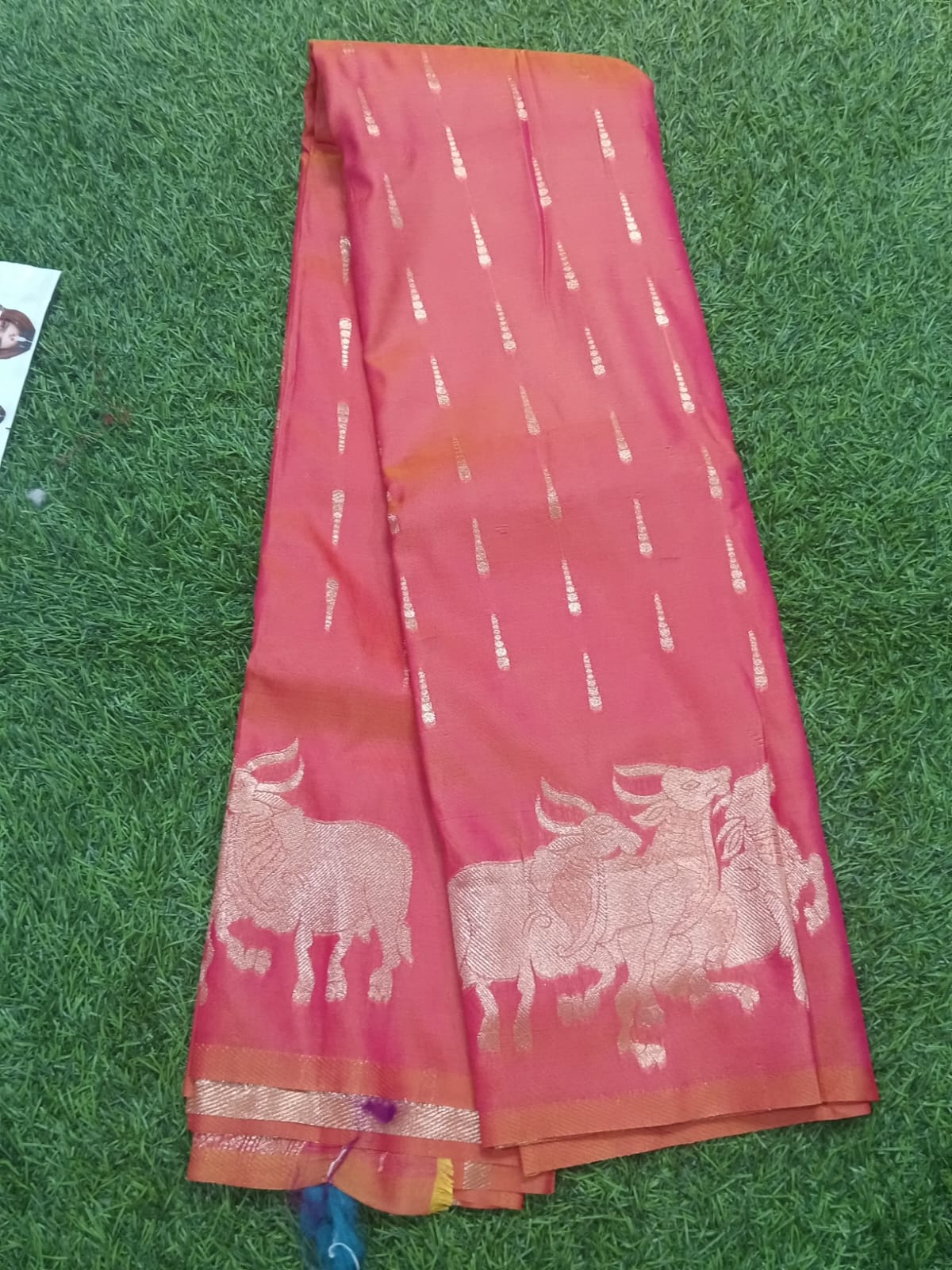 SJ019 MULBERY SILK BULL COW ZARI PRINT